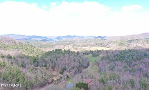 Cougar Trail 9.3, Del Rio, TN 37727