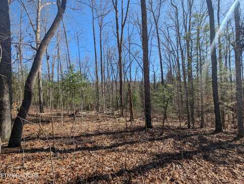N Fork Drive, Jamestown, TN 38556