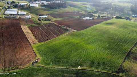 79 Acres Perrin Hill Rd, Rutledge, TN 37861