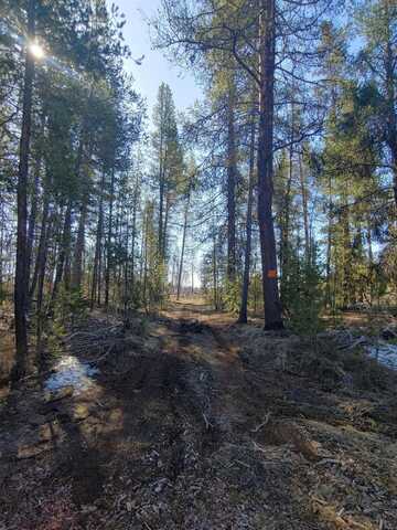 Artesian Drive, Chiloquin, OR 97624