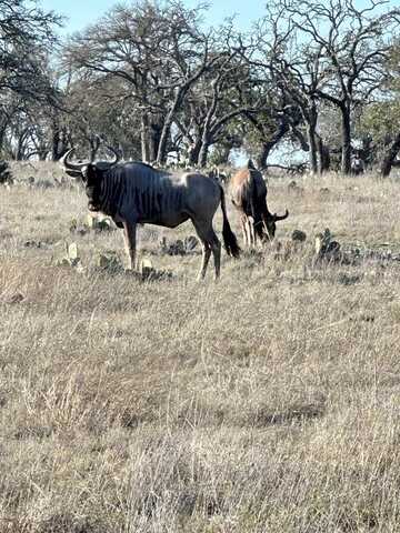 Lot 106 Oryx View Dr, Harper, TX 78631
