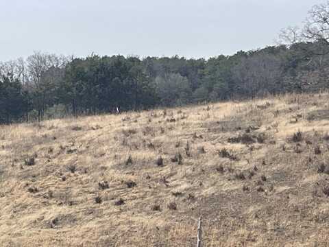 Lot 3 Wolfe Branch Road S, Bulls Gap, TN 37711