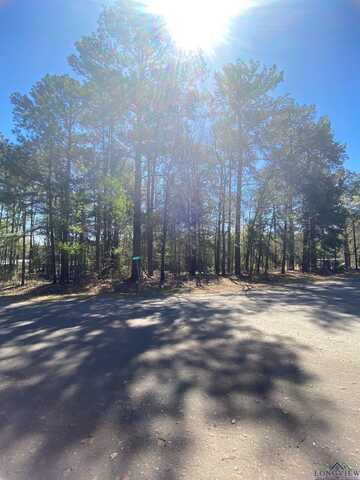 Tbd Lot 51 Bois D' Arc, Diana, TX 75640