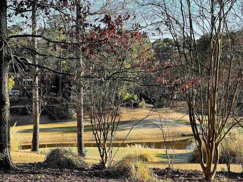 1010 EMERALD VIEW DRIVE, Greensboro, GA 30642