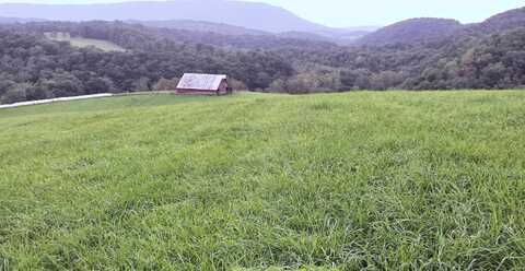 TBD 145 ac RYE HOLLOW Road, Pearisburg, VA 24134