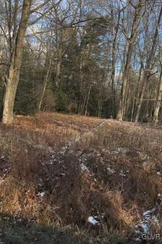 N Sycamore Drive unit: B94, Penn Forest Twp, PA 18229