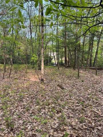 160 Oakridge Drive, Pike, PA 18328