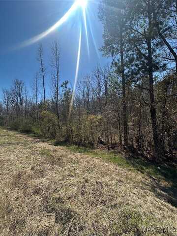 39 Jasmine Lane, Ramer, AL 36069