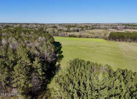 0010 Stump Bridge Road, Canton, MS 39046