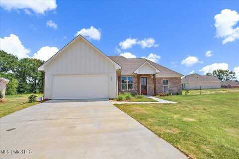 203 Silver Maple Place, Canton, MS 39046