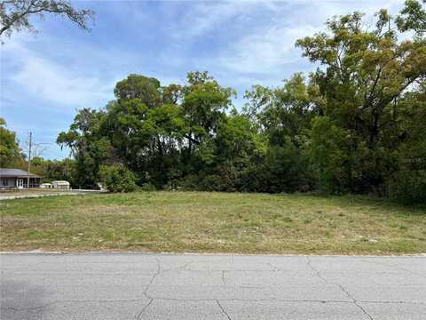 461 E BLUE SPRINGS AVENUE, ORANGE CITY, FL 32763