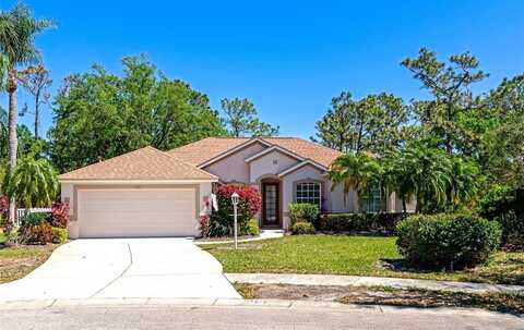 11419 PINE LILLY PLACE, LAKEWOOD RANCH, FL 34202