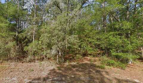 9572 N SANDREE DRIVE, CITRUS SPRINGS, FL 34434