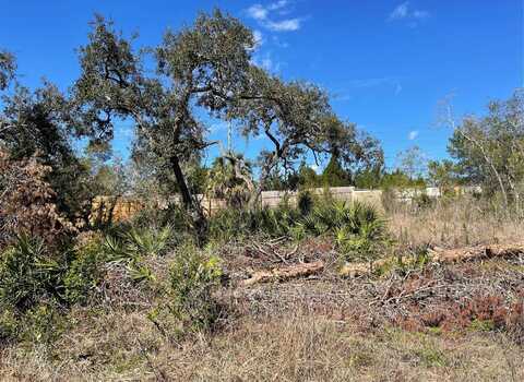 16883 DRY TORTUGAS RUN, HUDSON, FL 34667