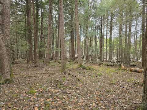 Breezy Hill Road, Parksville, NY 12768