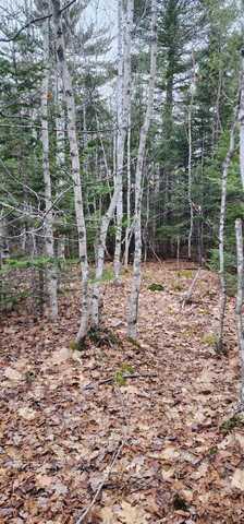 106 Carol Court, Bangor, ME 04401