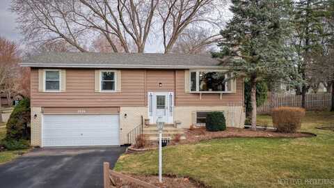 602 S Vista Drive, Algonquin, IL 60102