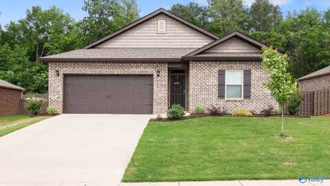 117 High Leaf Drive, Harvest, AL 35749