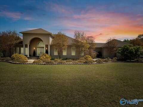 3 Mccleskey Drive, Hartselle, AL 35640