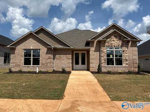 67 Lot Narayan Street, Madison, AL 35756