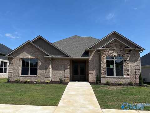 67 Lot Narayan Street, Madison, AL 35756