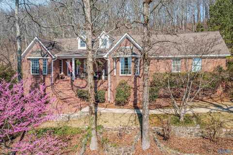 207 Hummingbird Way, Rainbow City, AL 35906