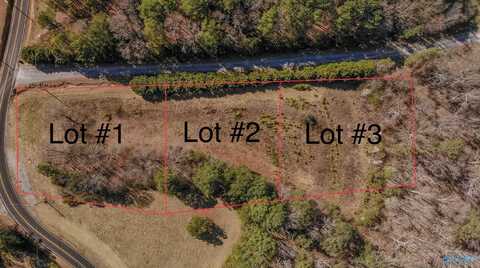 Lot 1 Wyeth Mountain Road, Guntersville, AL 35976