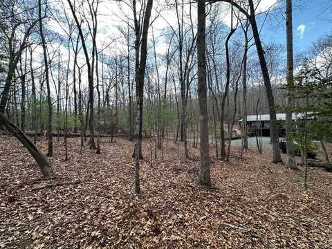 Lot 20 Black Oak Road, Cherry Log, GA 30522