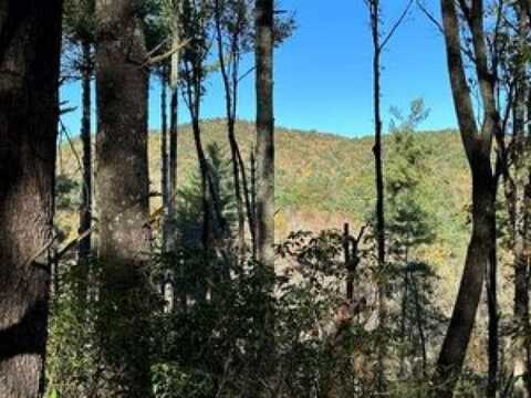 Chief Whitetails Road, Ellijay, GA 30540