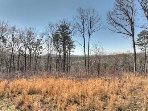 Lot 280 Highgrove Drive, Talking Rock, GA 30540