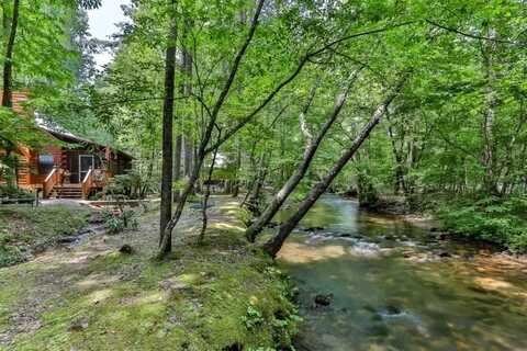 420 Olivers Trail, Cherry Log, GA 30522