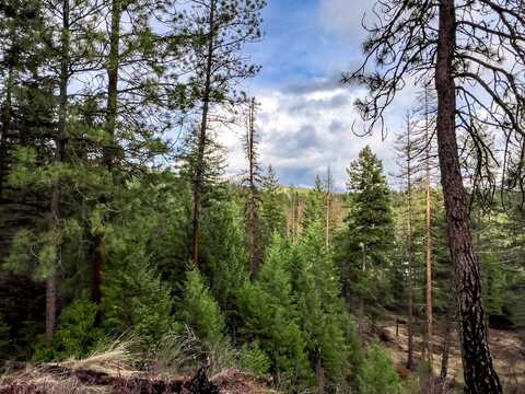 568-B DOLOMITE RD, COLVILLE, WA 99114