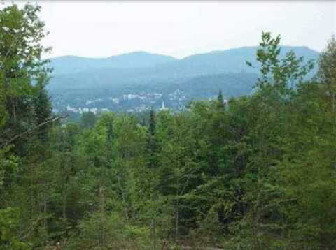 Old Franconia Road, Bethlehem, NH 03574