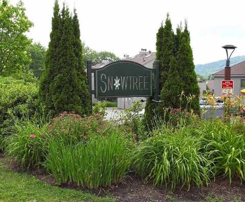 17 F Snow Tree Lane, Dover, VT 05356