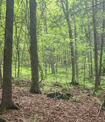 00 Tarbell Hill Road, Weathersfield Bow, VT 05151