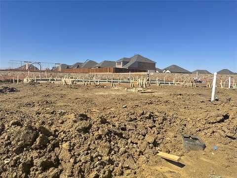 4376 Biddle Street, Midlothian, TX 76065