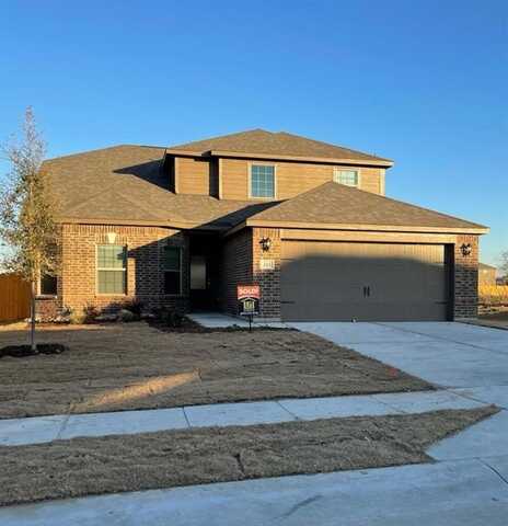 223 Golden Sands Lane, Princeton, TX 75407