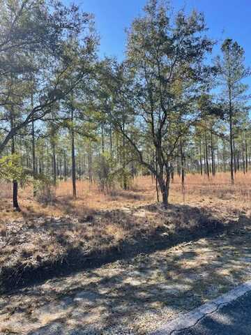 TBD Possum Corner Road, Early Branch, SC 29916