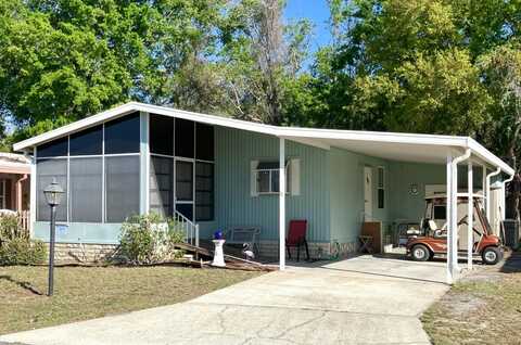 171 SEA FERN DRIVE, Leesburg, FL 34788