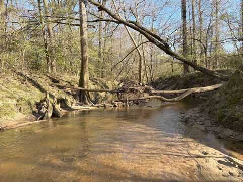 TBD Greens Creek, Jena, LA 71342