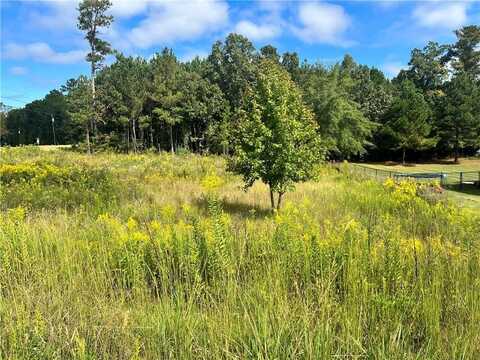 21 Lee Road 2192, Cusseta, AL 36852