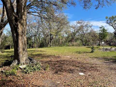 38347 HIGGINSON ROAD, ZEPHYRHILLS, FL 33540