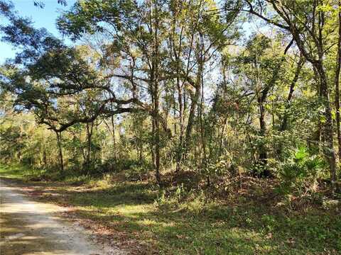 TABLEROCK DRIVE, WEBSTER, FL 33597