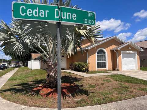 10102 CEDAR DUNE DRIVE, TAMPA, FL 33624