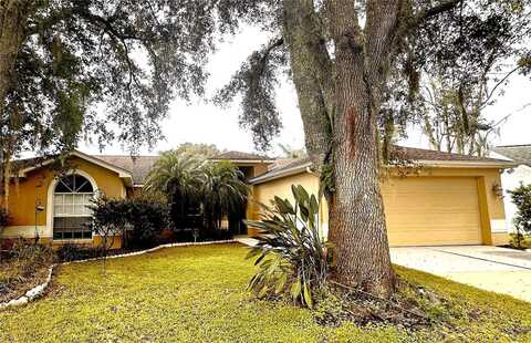 2321 ROTHENFELD COURT, LAND O LAKES, FL 34639