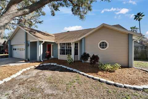 1425 MONTE LAKE DRIVE, VALRICO, FL 33596