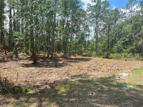 7225 WILLOUGHBY DRIVE, WEBSTER, FL 33597