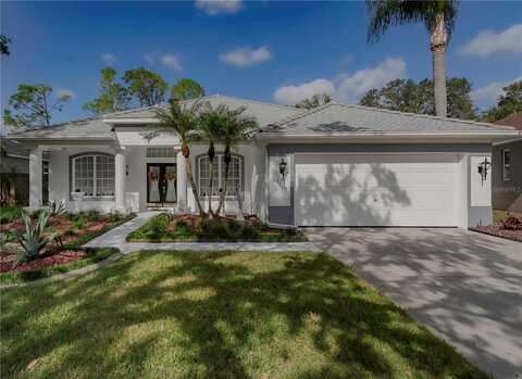 19109 CHERRY ROSE CIRCLE, LUTZ, FL 33558
