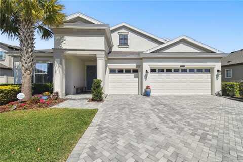 8766 SHADYSIDE LANE, LAND O LAKES, FL 34637
