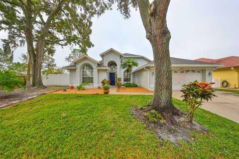 16402 LAKE HEATHER DRIVE, TAMPA, FL 33618